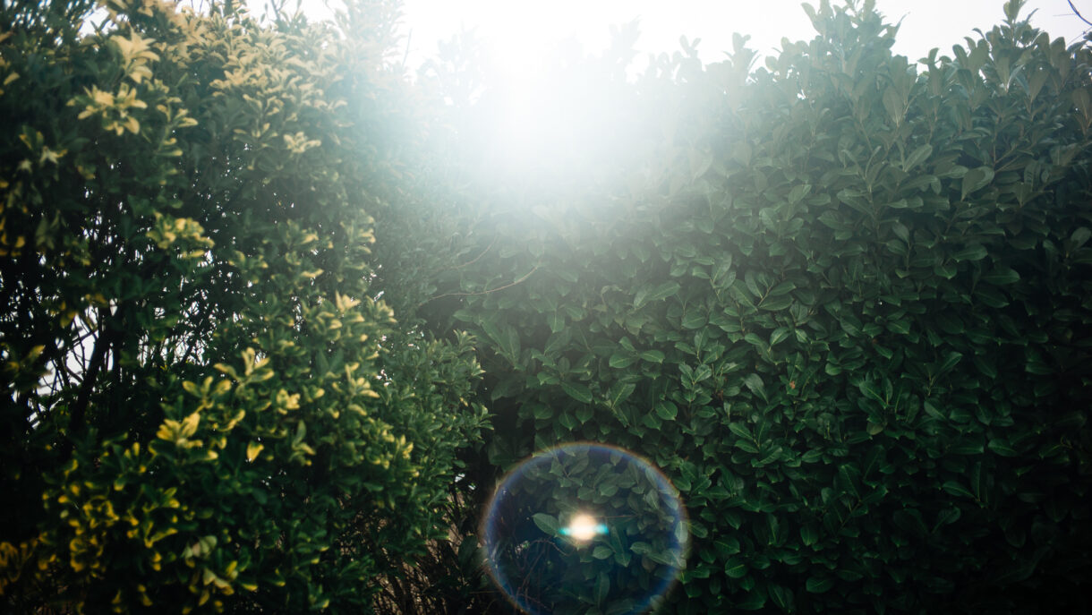 Leica 35mm Summicron vs Summarit Lens Review