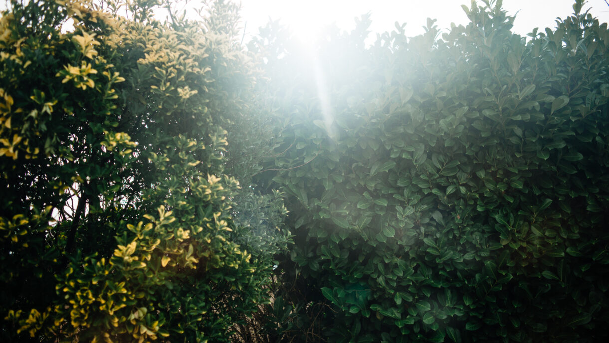 Leica 35mm Summicron vs Summarit Lens Review